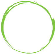 Feedback