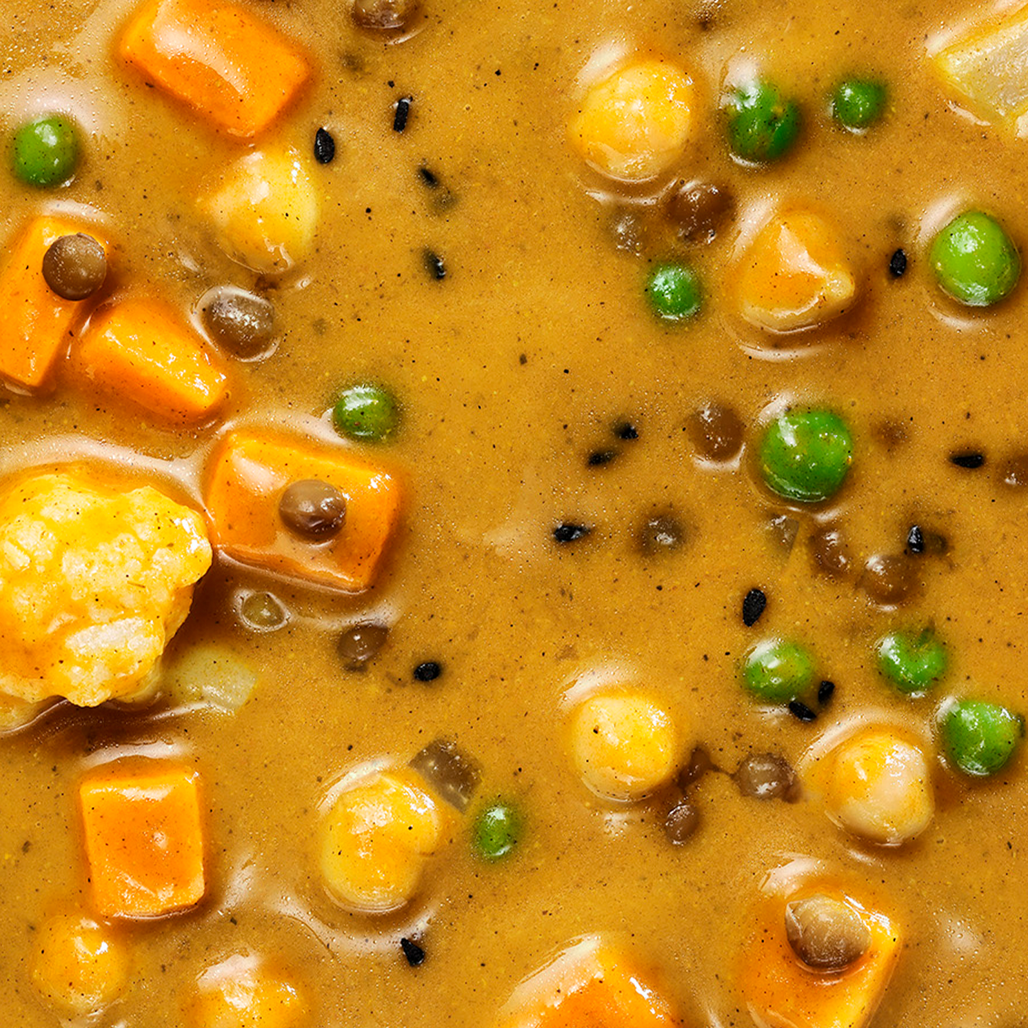 Linsencurry_1200x1200_01