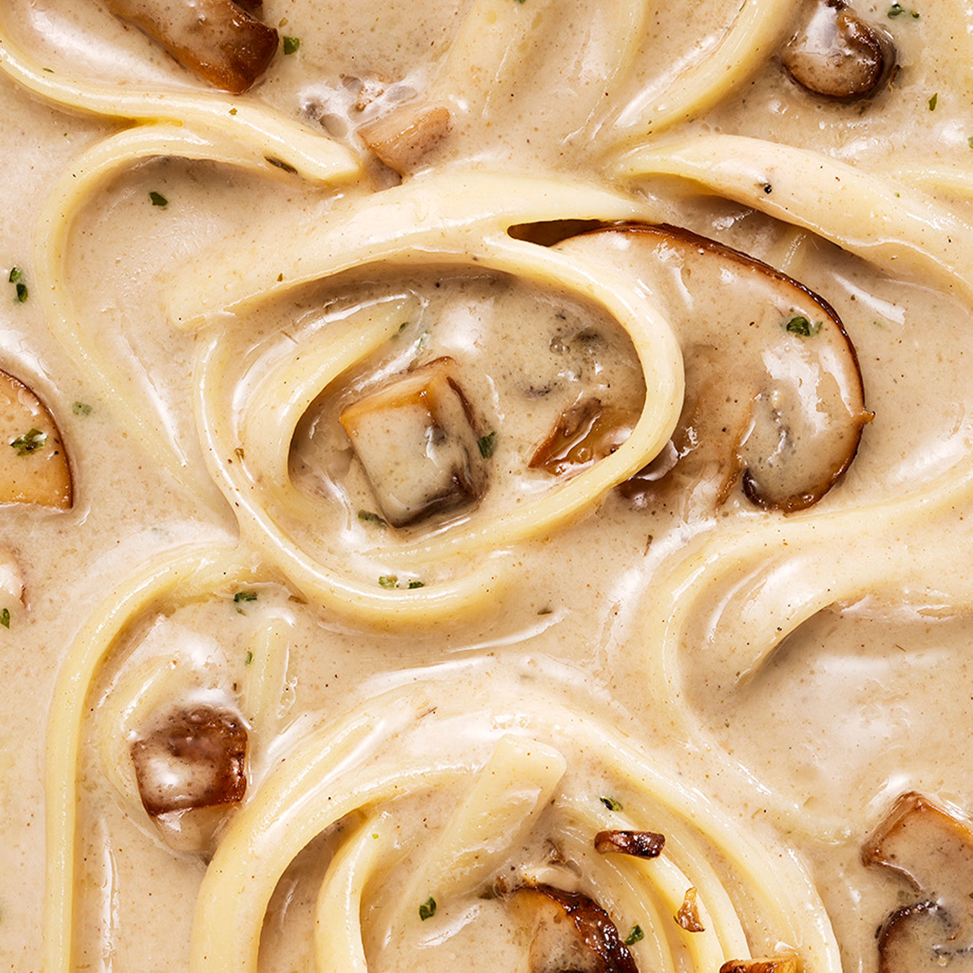 Pasta_Funghi_1200x1200_01