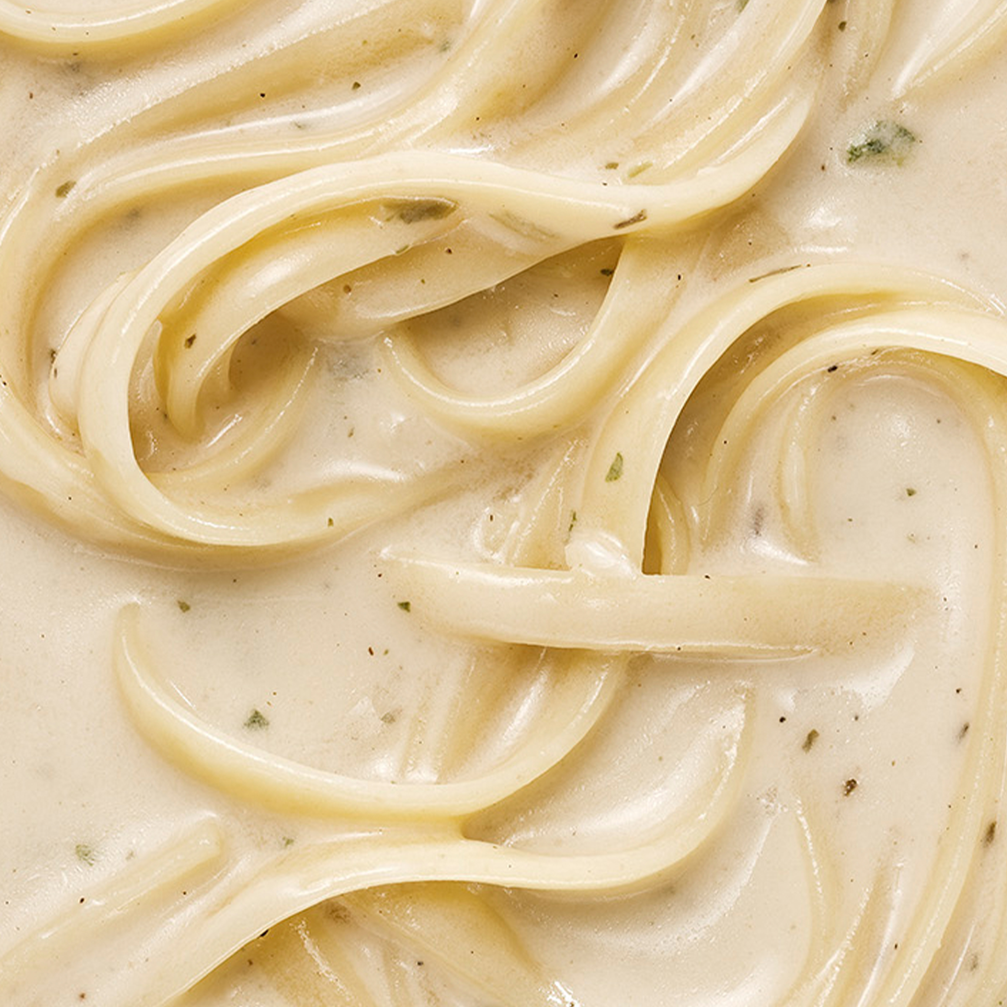 Pasta_fünf_Käse_1200x1200_01 YOUCOOK Pasta fünf Käse 1200x1200